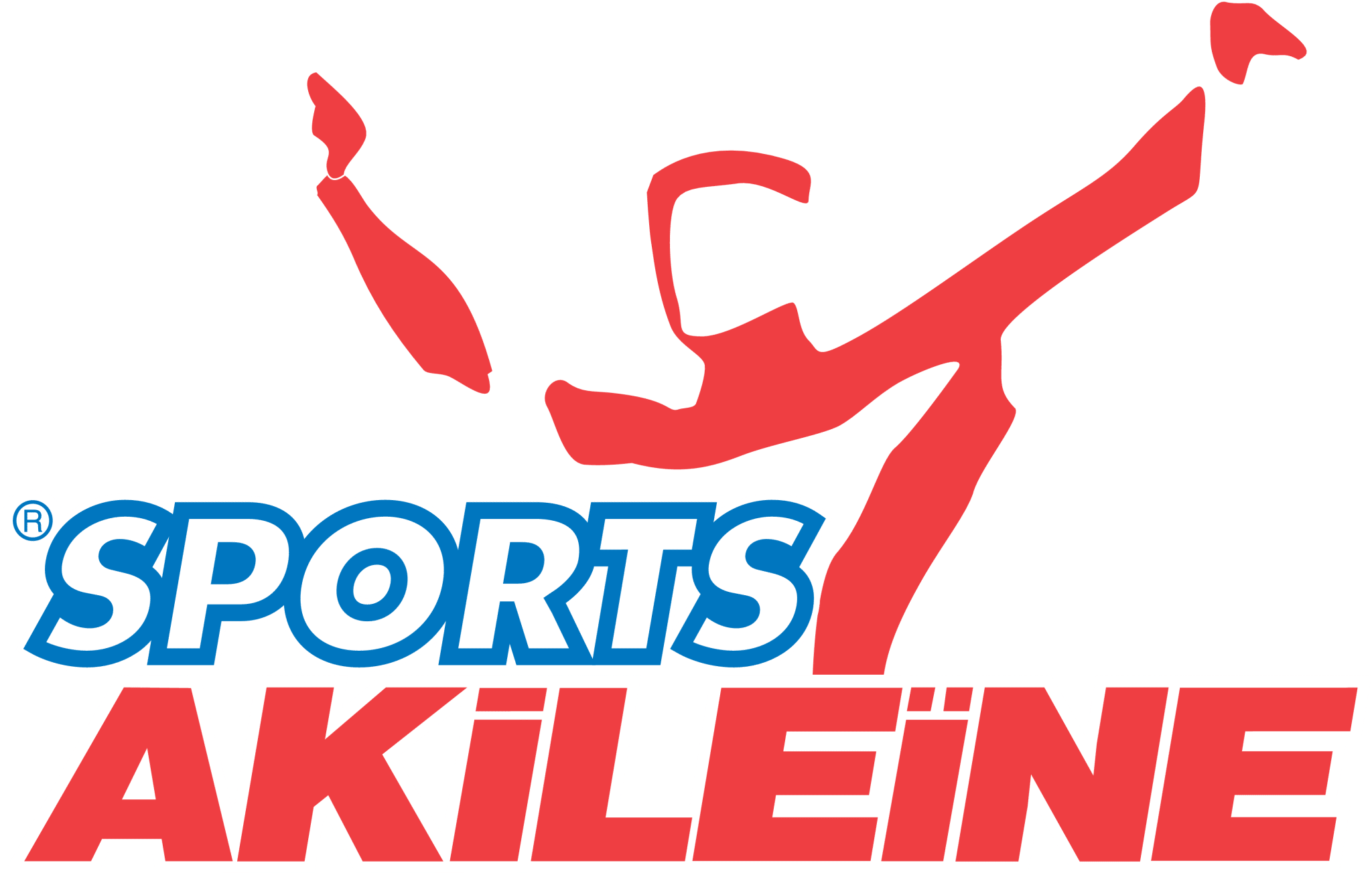 logo spak picto